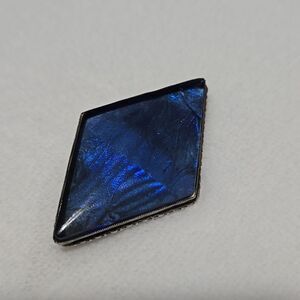 Vintage Sterling Silver Brooch With Real Butterfly Wings